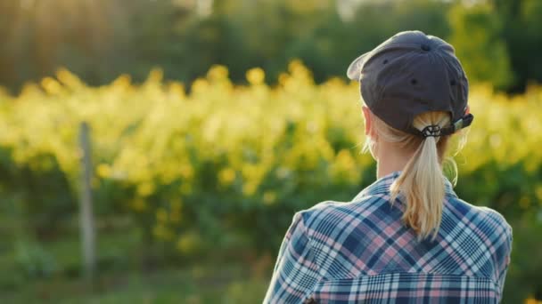 Vista trasera de una mujer agricultora mirando su jardín — Vídeos de Stock