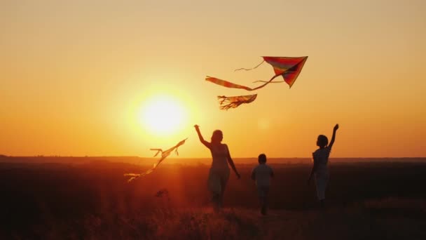 一个有两个孩子的女人——一个女孩和一个男孩在玩风筝。积极的生活方式 — 图库视频影像