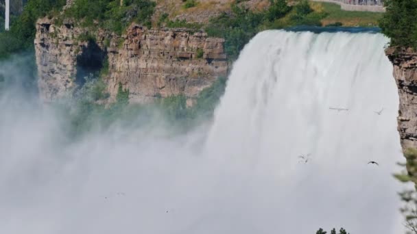 Водопад невесты Вейл на Ниагарском водопаде. Могучий поток воды из реки Ниагара впадает в знаменитый водопад — стоковое видео