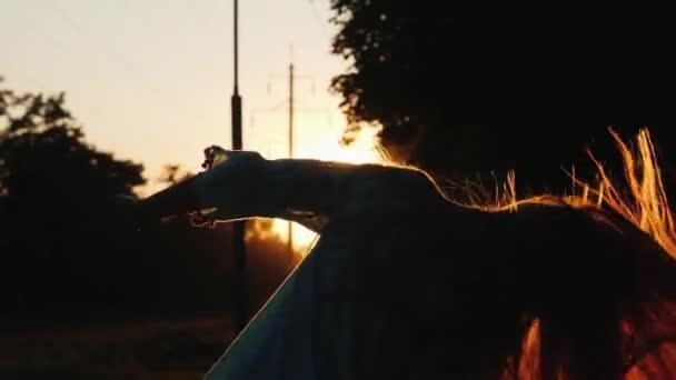 Silueta de una chica con el pelo largo. Mueve la cabeza y juega con el pelo al sol — Vídeos de Stock