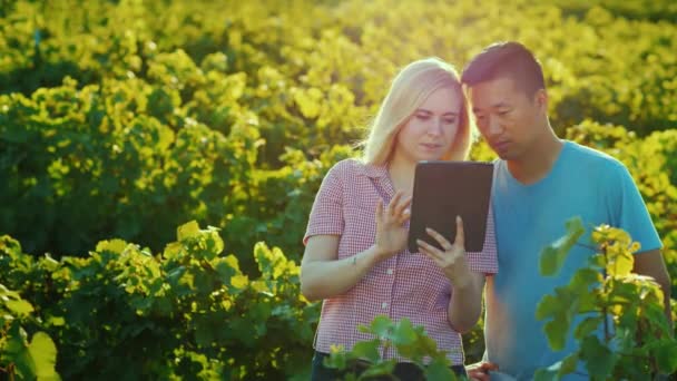 Asian man and caucasian woman work together in the garden, use tablet — Stock Video