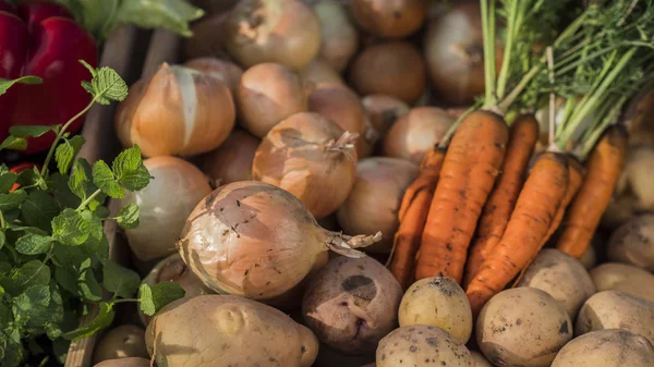 Набор свежих овощей на фермерском рынке — стоковое фото