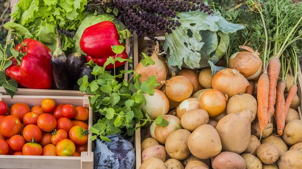 Caixas com legumes sazonais no balcão Farmers Market, vista superior — Fotografia de Stock
