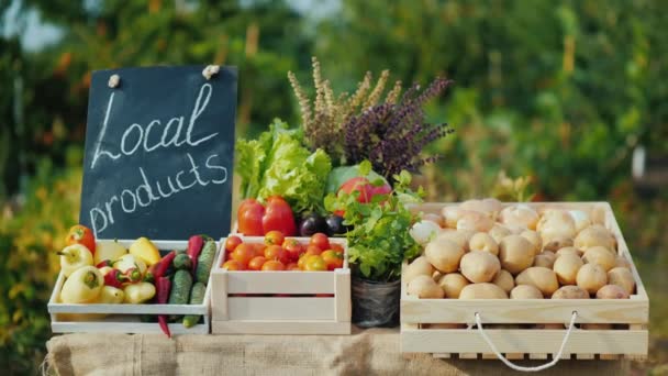 Счетчик со свежими овощами и знаком местных продуктов — стоковое видео