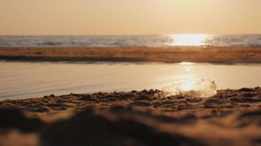 Bilinçli bir adam plajda boş bir plastik şişe kaldırır. Çevreye önem vermek