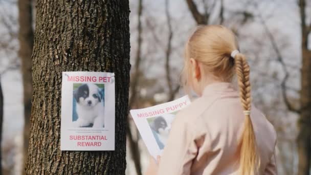 Ein Kind mit einem Plakat über seinen vermissten Hund. Haustiersuche — Stockvideo