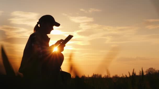 Der Bauer benutzt die Tablette, um bei Sonnenuntergang auf seinem Feld zu arbeiten — Stockvideo