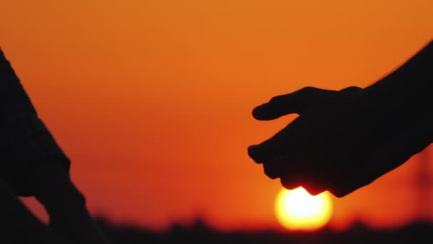 Hombre y mujer tomados de la mano contra el atardecer y el cielo rojo — Vídeo de stock