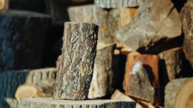 Balta kesme kütükleri. Kış için odun topluyorum.