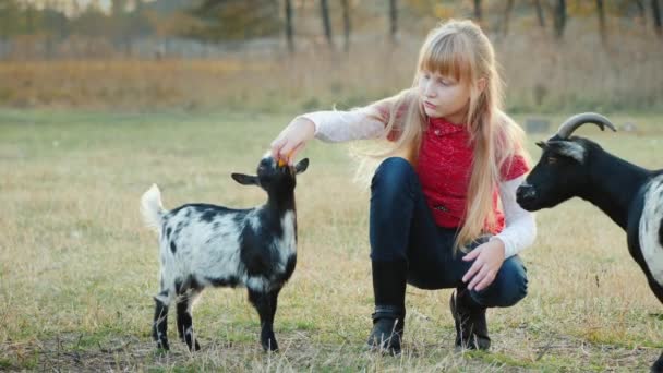 Chica guay se confunde para tratar a un niño, una cabra grande selecciona un regalo — Vídeo de stock