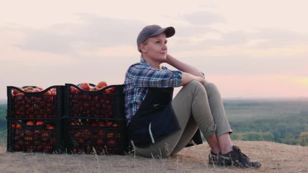Domatesli kutuların yanında dinlenen yorgun bir kadın. Aile Çiftliği Harfleri — Stok video