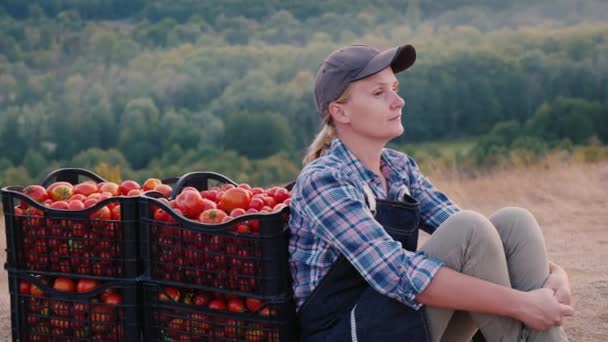 Женщина-фермер отдыхает после работы, сидит возле коробок с помидорами — стоковое видео