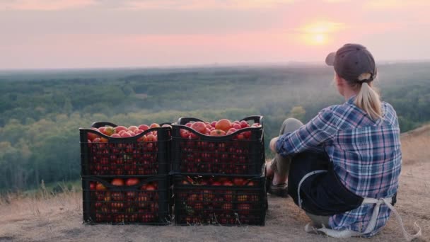 Widok z tyłu Kobieta rolnik siedzi w pobliżu skrzynek z pomidorami, podziwiając piękny krajobraz, odpoczynku po pracy — Wideo stockowe