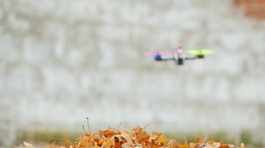 Yerden alçaktan uçan bir sinemada ustaca pilotluk yapmak, kuru yapraklar rüzgardan uçar.