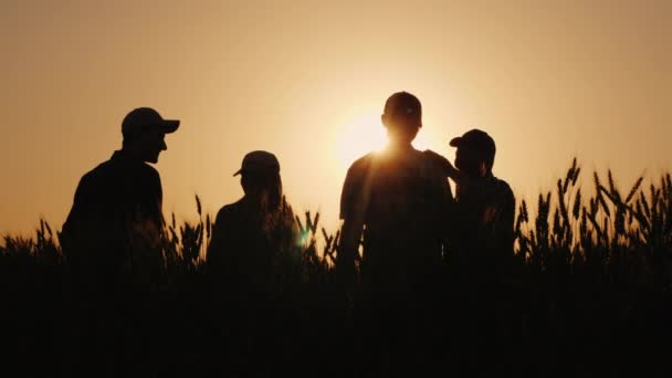 Een team van succesvolle boeren feliciteert elkaar emotioneel. Staande in een tarweveld — Stockvideo