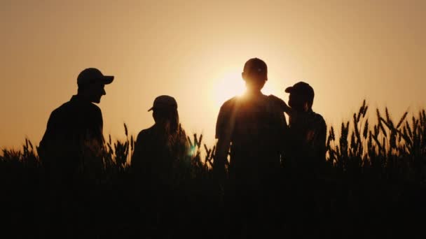 Tým úspěšných farmářů si emocionálně gratuluje. Stojí na pšeničném poli — Stock video