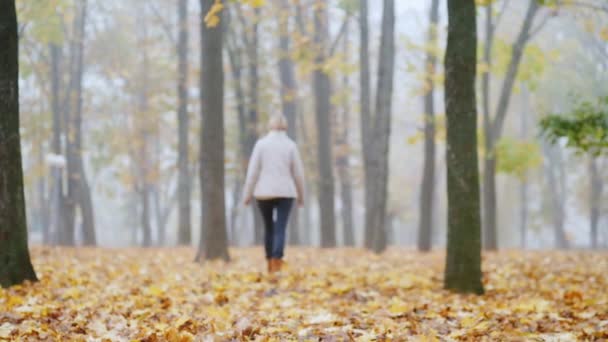 Foglie cadute nel parco, in lontananza una silhouette sfocata di una donna — Video Stock