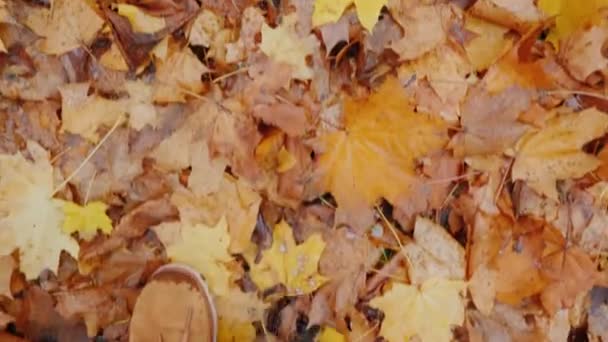 Vista dall'alto di gambe femminili in stivali camminano su foglie cadute di autunno — Video Stock