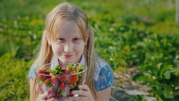 De baby houdt een kom aardbeien vast, zit tegen de achtergrond van het veld waar hij groeit — Stockvideo