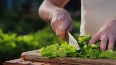 Bir kadın sebze bahçesinin arka planında otlarla salata kesiyor.