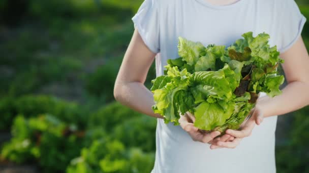 Barnet håller sallad, står mot bakgrunden av huset sängen — Stockvideo