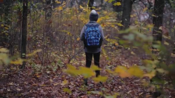 Achteraanzicht van een kind met een zaklamp loopt alleen door het verschrikkelijke bos — Stockvideo