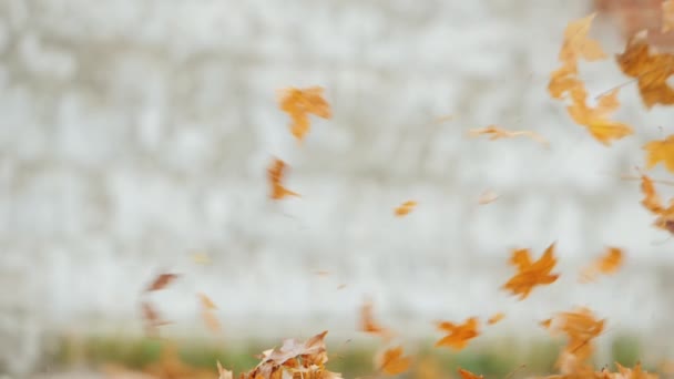 Квадрикоптер летает низко над землей, эффективно поднимая упавшие листья в воздух — стоковое видео
