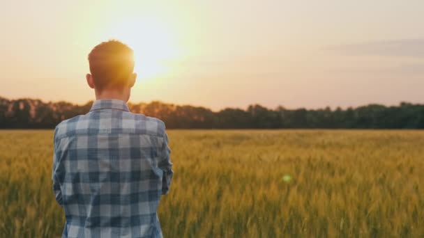 Ein selbstbewusster Bauer bewundert bei Sonnenuntergang ein Weizenfeld. Blick von hinten — Stockvideo