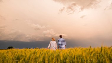 Fırtınalı gökyüzünün ortasında, buğday tarlasında iki çiftçi.