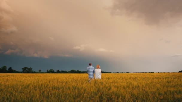 Un uomo e una donna stanno in un campo di grano contro un cielo tempestoso dove è visibile un fulmine — Video Stock