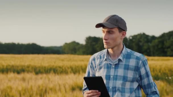 Молодой фермер с табличкой в руке ходит по пшеничному полю — стоковое видео
