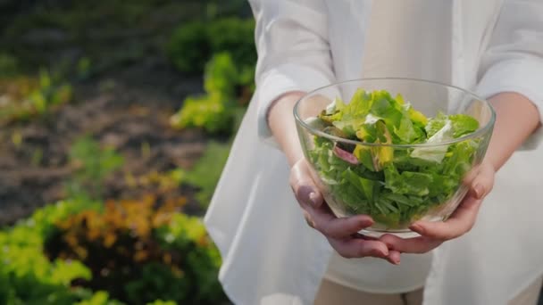 A woman holds a bowl of lettuce on the background of her garden — Stock Video