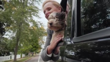 En sevdiğin evcil hayvanınla her yerde. Köpeği olan bir kadın seyahat eden bir arabanın camından dışarı bakar. Evcil hayvan konseptiyle seyahat etmek