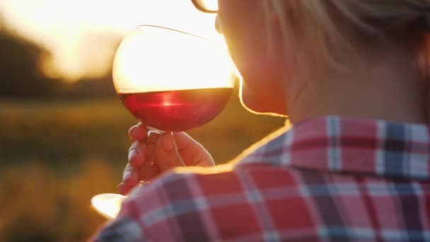 Degustacja wina, turystyka i podróże — Wideo stockowe