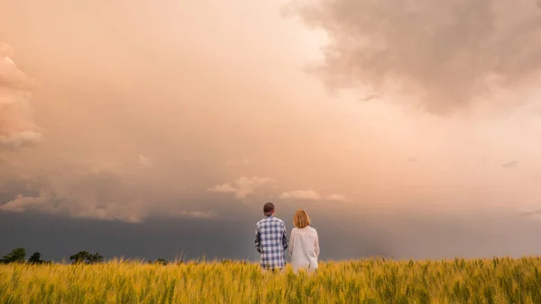 Um homem e uma mulher estão em um campo de trigo contra um céu dramático diante de uma tempestade — Fotografia de Stock