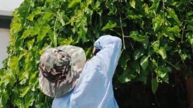 Parkta ağaç budamada usta bahçıvan.