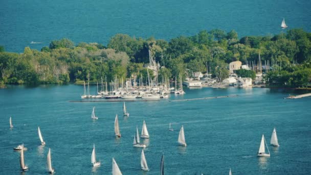 Vista de la Isla Central frente a la ciudad de Toronto. Árboles verdes y muchos yates de vela cerca de ella — Vídeos de Stock