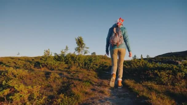 Vue arrière d'un touriste avec un drapeau norvégien dans un sac à dos marche à travers les hautes terres pittoresques à l'aube. — Video