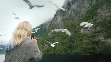Resimli bir Norveç fiyordunun fotoğraflarını çeken bir kadının arkasından manzara. Norveç gezisi
