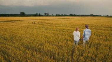 İki çiftçi fırtınalı bir gökyüzüne karşı buğday tarlasında duruyor.