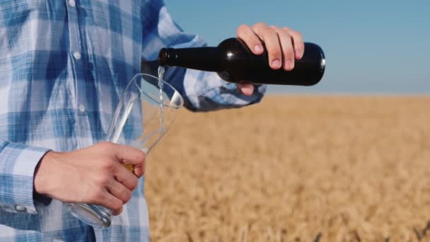 Een man giet bier uit een fles in een glas. Tegen de achtergrond van tarweoren op het veld — Stockvideo