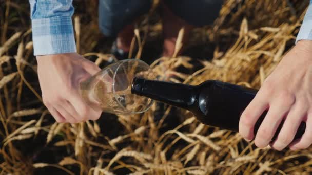 Vista superior: Um homem derrama cerveja de uma garrafa em um copo. Contra o fundo das espigas de trigo no campo — Vídeo de Stock
