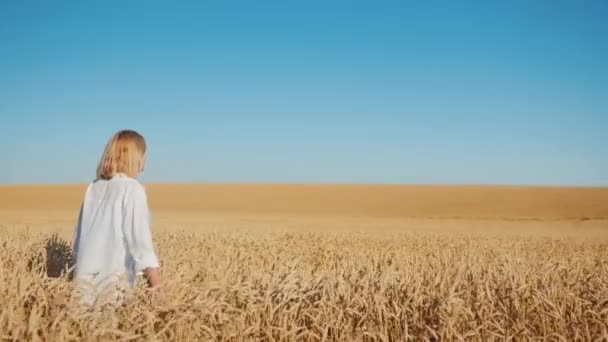 Farmářka kráčí po nekonečném poli žluté pšenice — Stock video