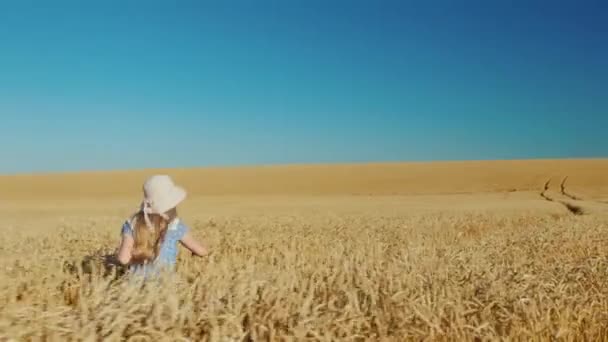 Ragazza spensierata corre su un campo di grano — Video Stock