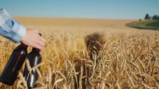 Um homem com duas garrafas de cerveja caminha por um campo de trigo — Vídeo de Stock