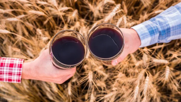 Les mains avec des verres de bière serrent des verres sur le fond d'un champ de blé. Vue du dessus — Photo