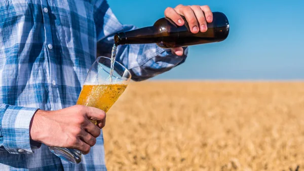 Um homem deita cerveja de uma garrafa num copo. Contra o fundo das espigas de trigo no campo — Fotografia de Stock