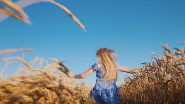 Disparo de ángulo bajo: Chica despreocupada corre en un campo de trigo . — Vídeos de Stock