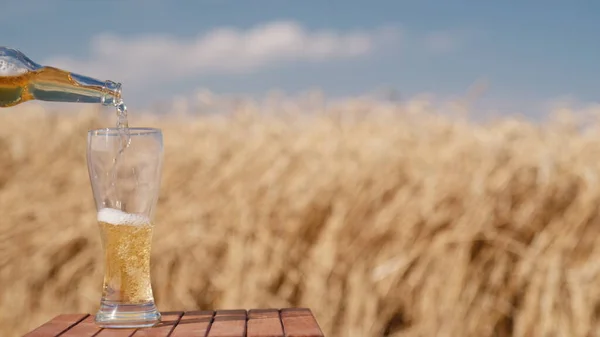Un hombre vierte cerveza de una botella en un vaso. Sobre el fondo de espigas de trigo en el campo y el cielo azul — Foto de Stock