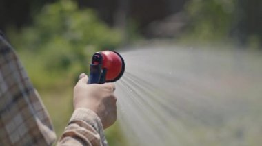 Bahçe hortumlu kadın elleri, bahçede sulama bitkileri.